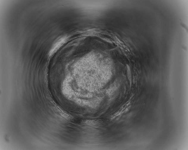 X0000096640341200802191225