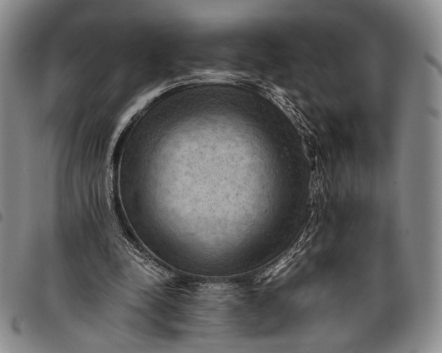 X0000096640342200802191225