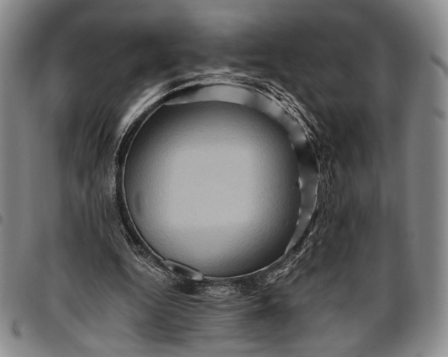 X0000096640344200802191225