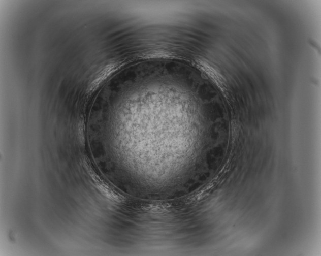 X0000096640345200802191225