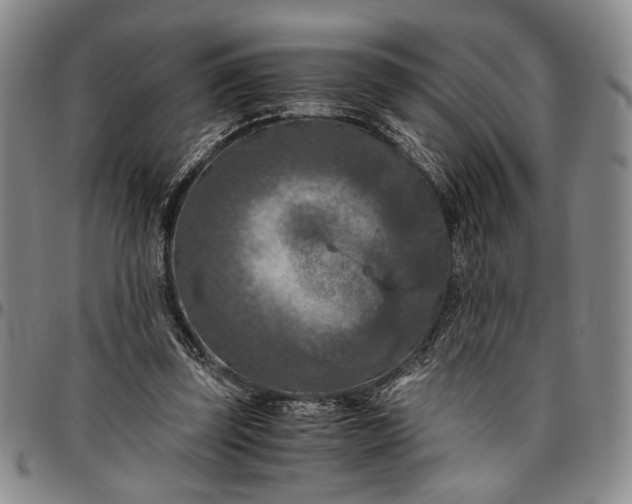 X0000096640347200802191225