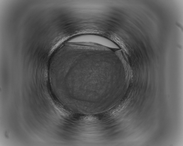 X0000096640348200802191225