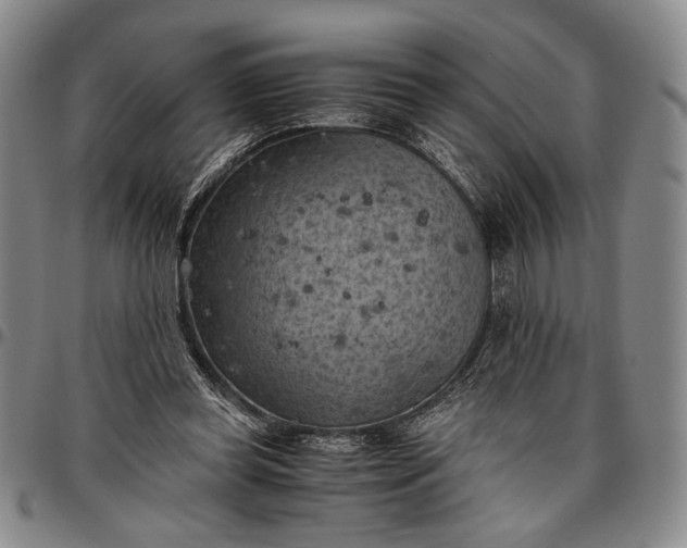 X0000096640349200802191225