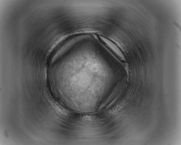 X0000096640350200802191225