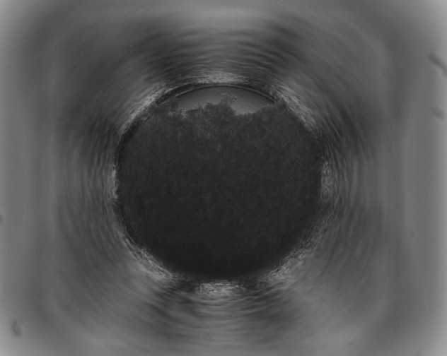 X0000096640351200802191225