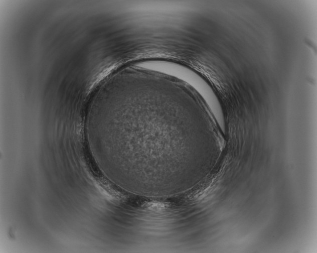 X0000096640352200802191225