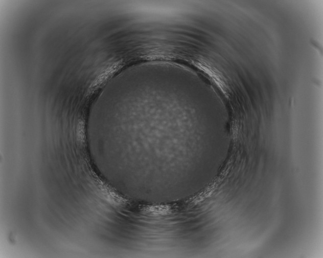 X0000096640353200802191225