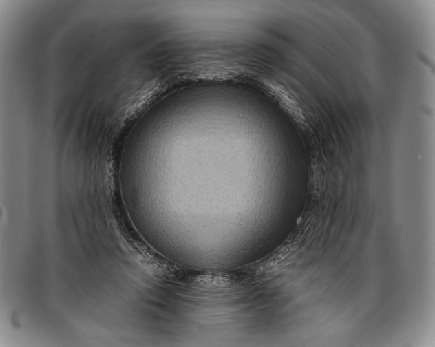 X0000096640354200802191225