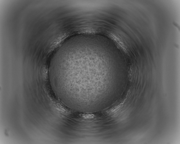 X0000096640355200802191225