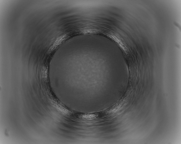 X0000096640357200802191225