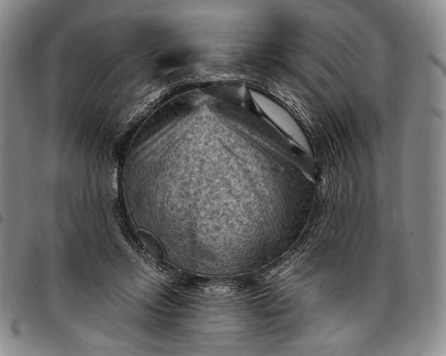 X0000096640358200802191225