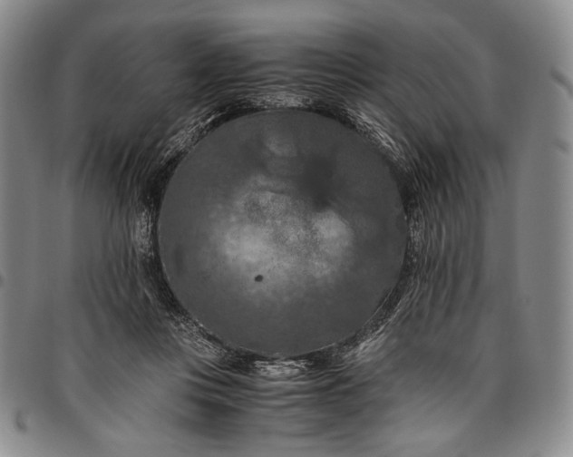 X0000096640359200802191225