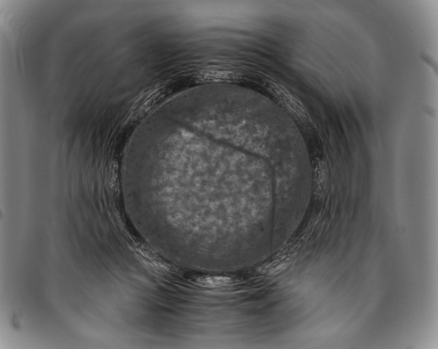 X0000096640361200802191225