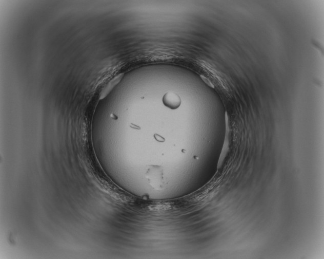 X0000096640362200802191225