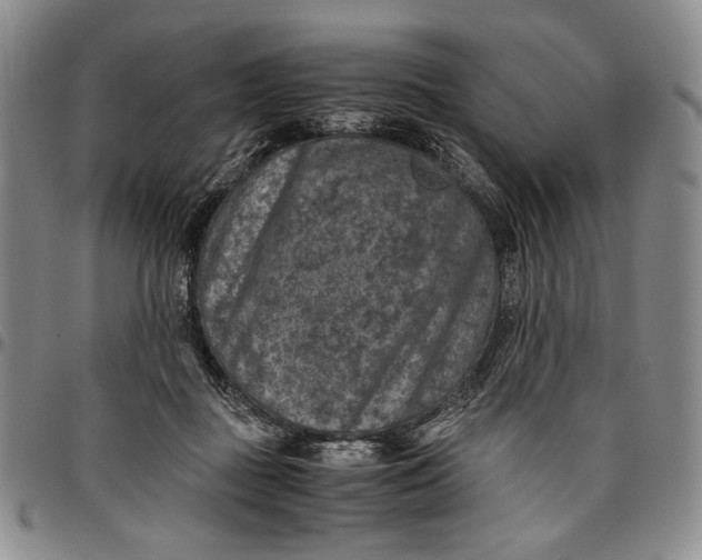 X0000096640363200802191225