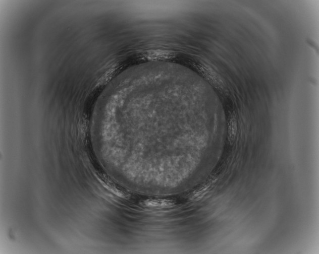 X0000096640367200802191225