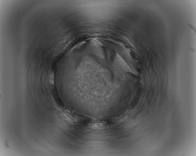 X0000096640368200802191225