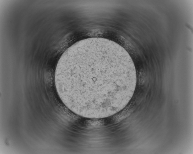 X0000096640370200802191225