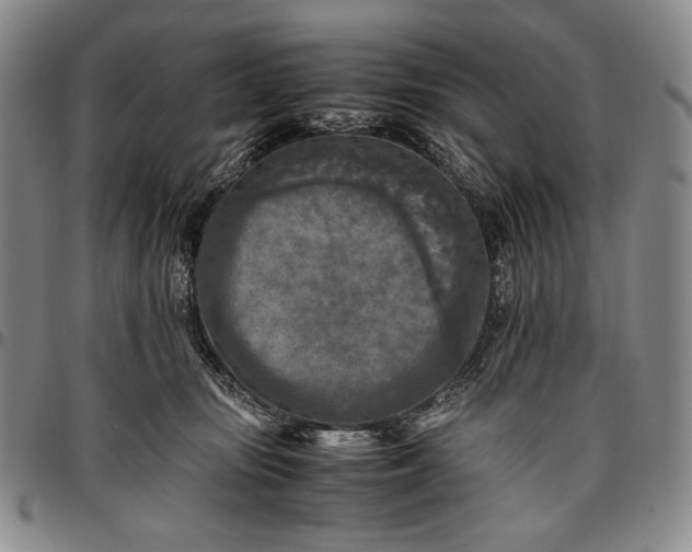 X0000096640371200802191225