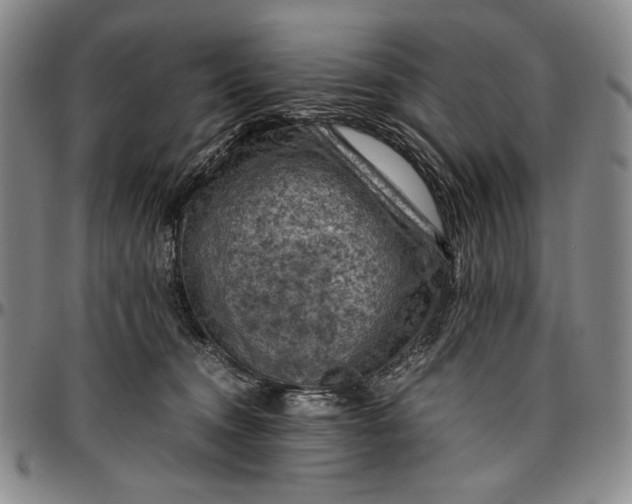 X0000096640372200802191225