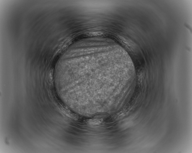 X0000096640373200802191225