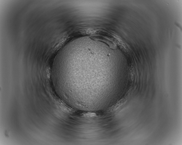 X0000096640374200802191225