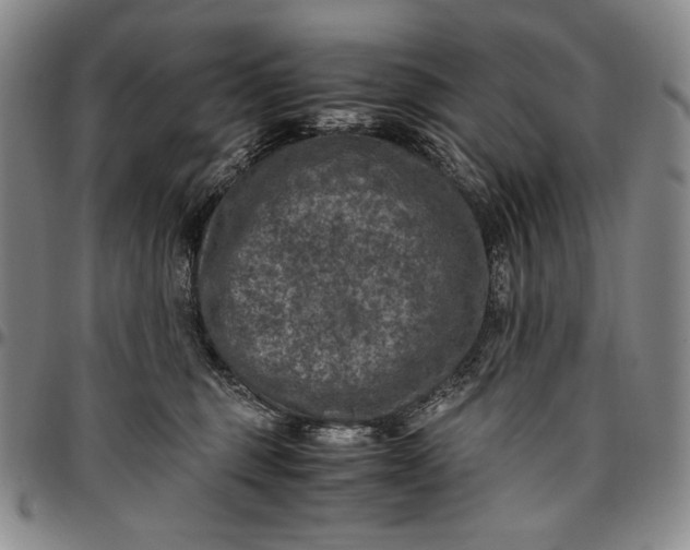 X0000096640375200802191225