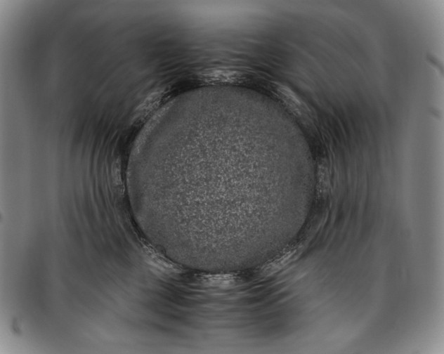 X0000096640377200802191225