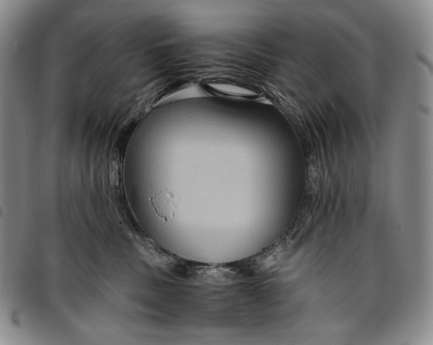 X0000096640379200802191225