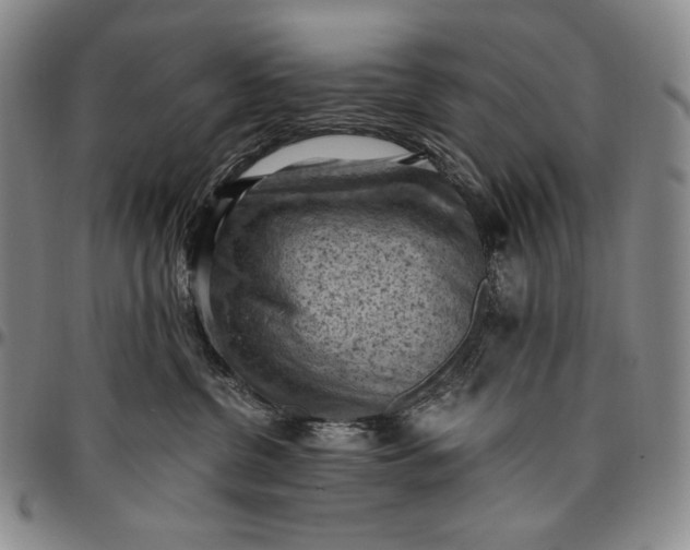 X0000096640380200802191225