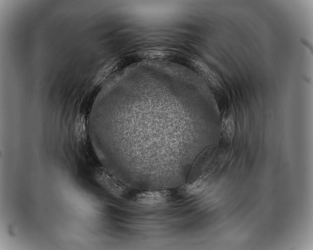 X0000096640381200802191225