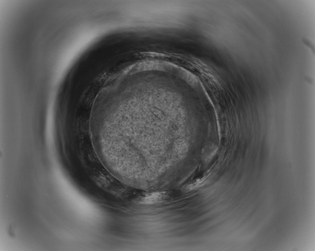 X0000096640382200802191225