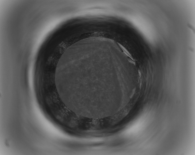 X0000096640383200802191225