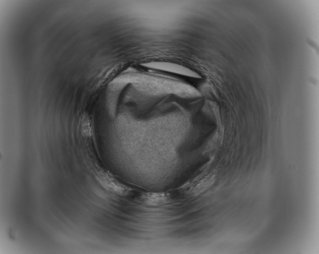 X0000096640384200802191225