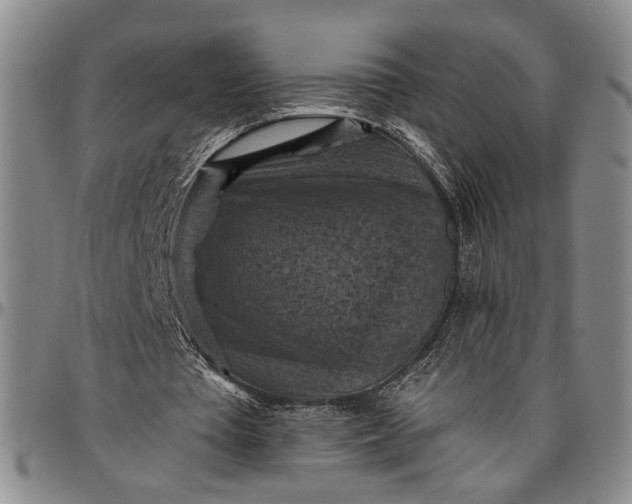 X0000096640385200802191224