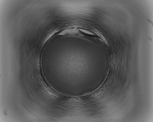 X0000096640386200802191224