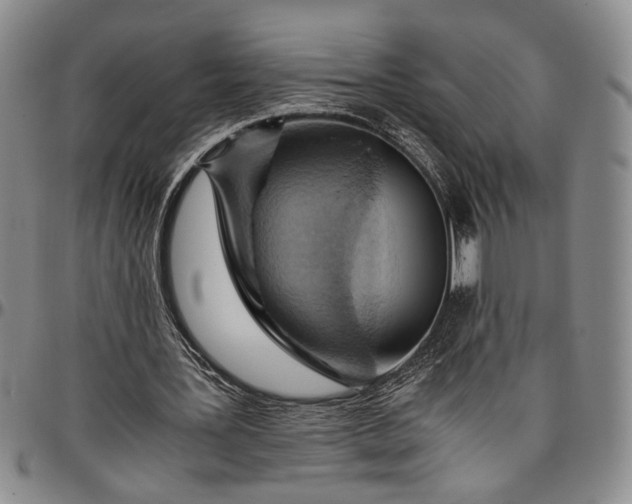 X0000096640387200802191224