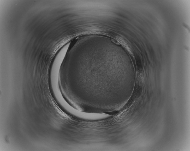 X0000096640389200802191224