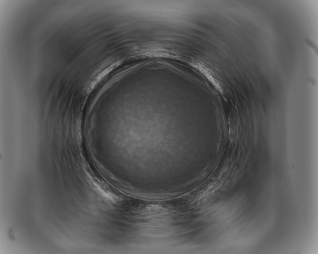 X0000096640390200802191224