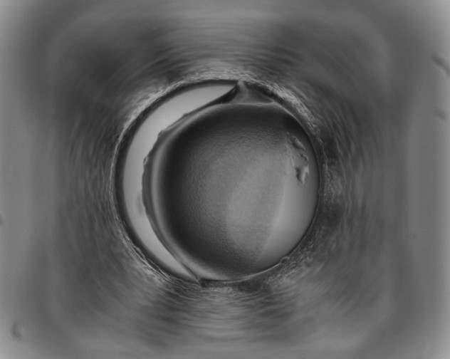 X0000096640391200802191224