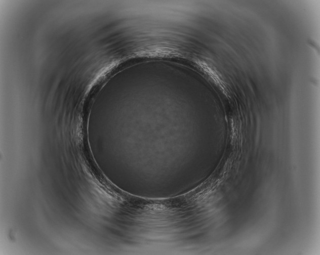 X0000096640392200802191224