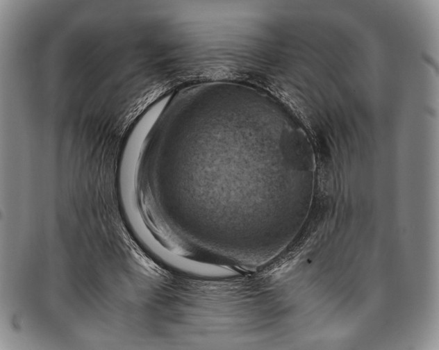 X0000096640393200802191224