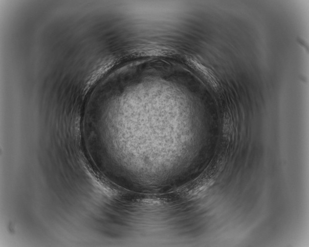 X0000096640394200802191224