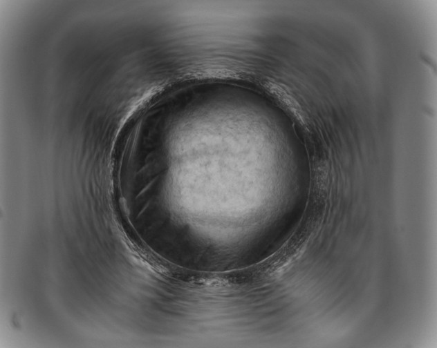 X0000096640395200802191224