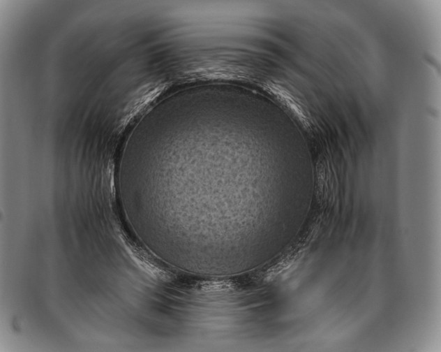 X0000096640398200802191224