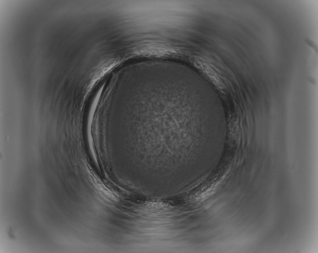 X0000096640399200802191224