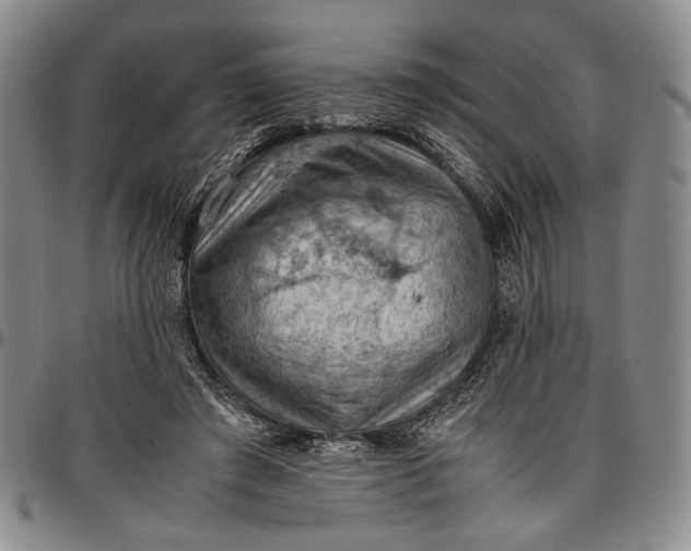 X0000096640401200802191224