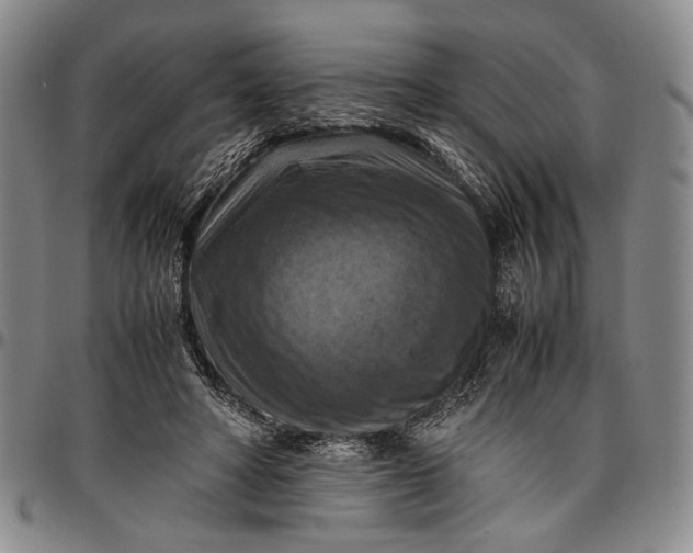 X0000096640402200802191224