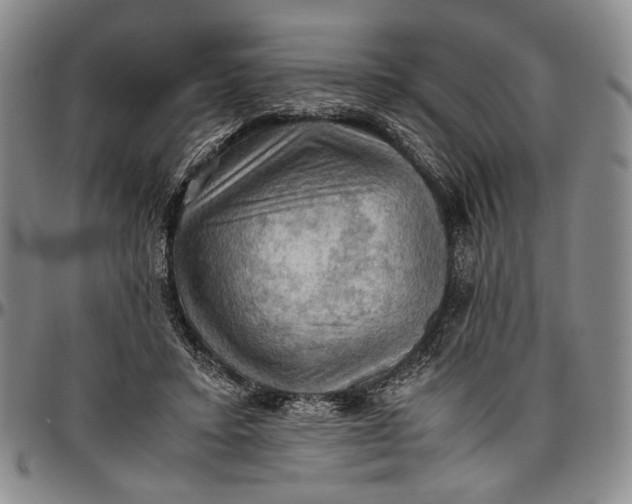 X0000096640403200802191224