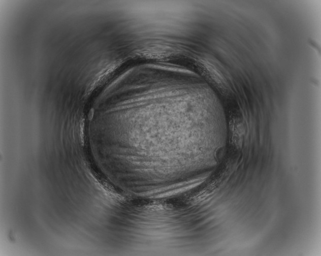 X0000096640404200802191224